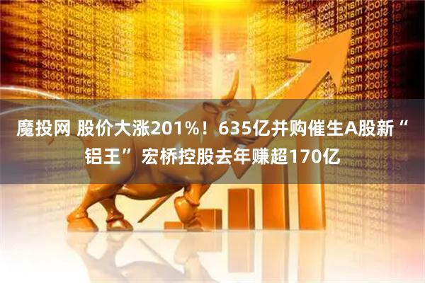 魔投网 股价大涨201%！635亿并购催生A股新“铝王” 宏桥控股去年赚超170亿